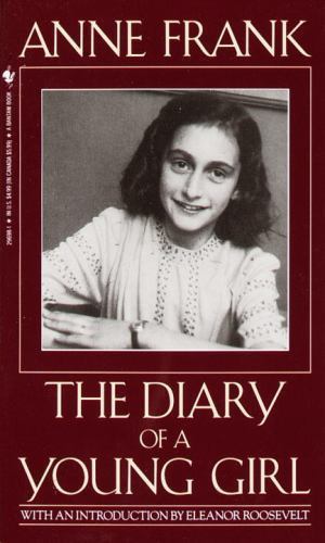 The diary young girl - diary,